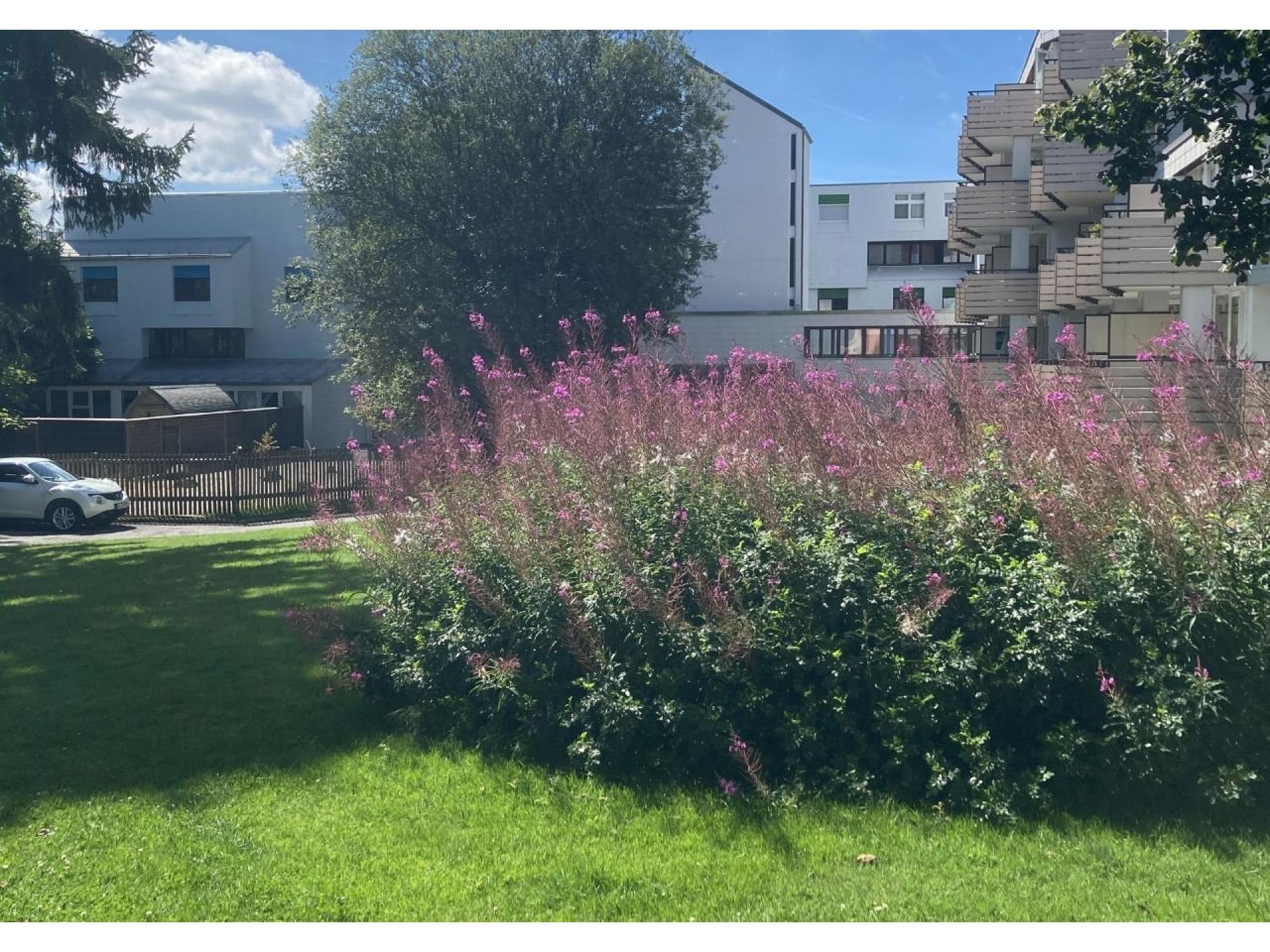 Ferienanlage Predigtstuhl
