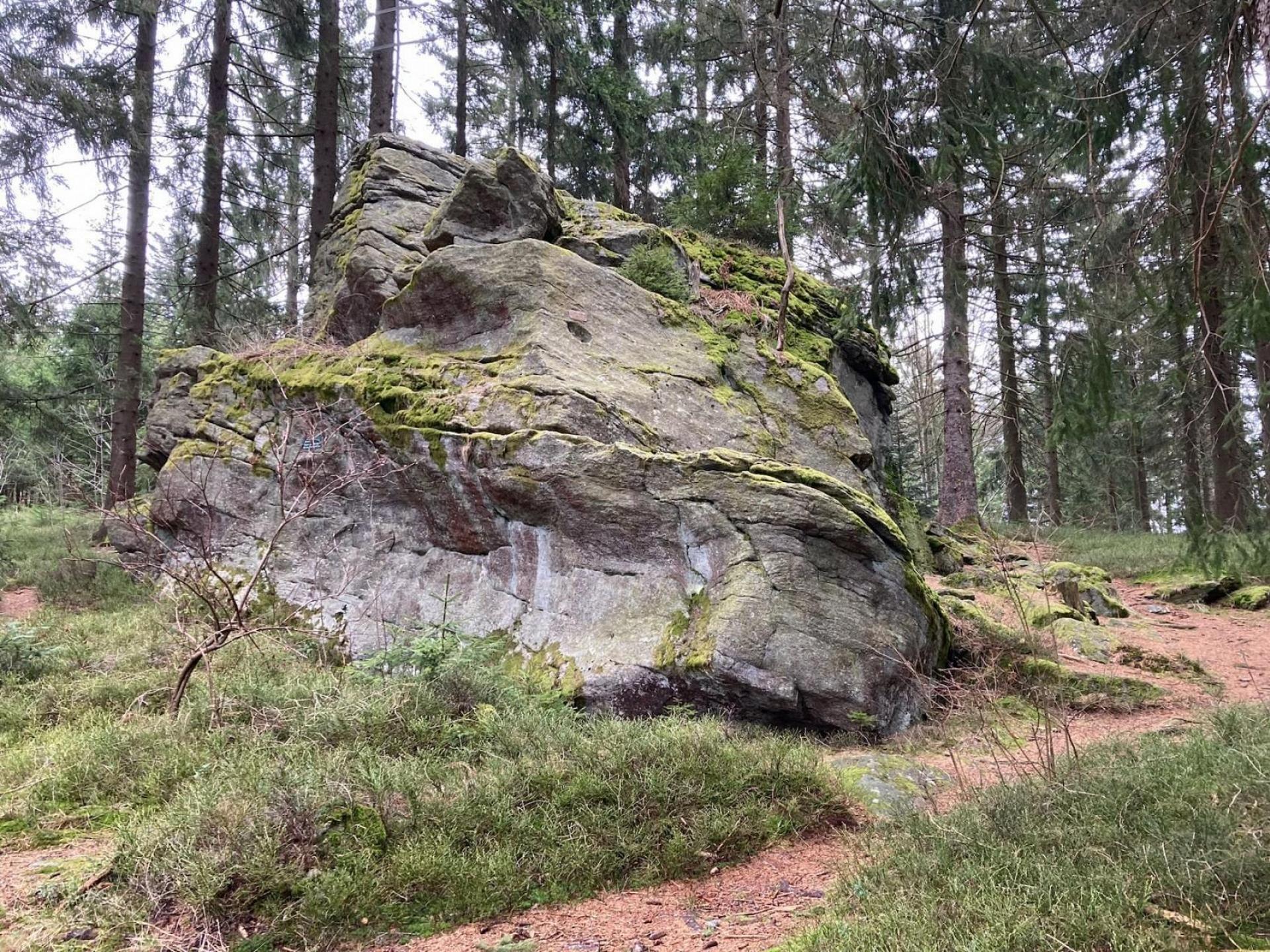 Felsen im Wald