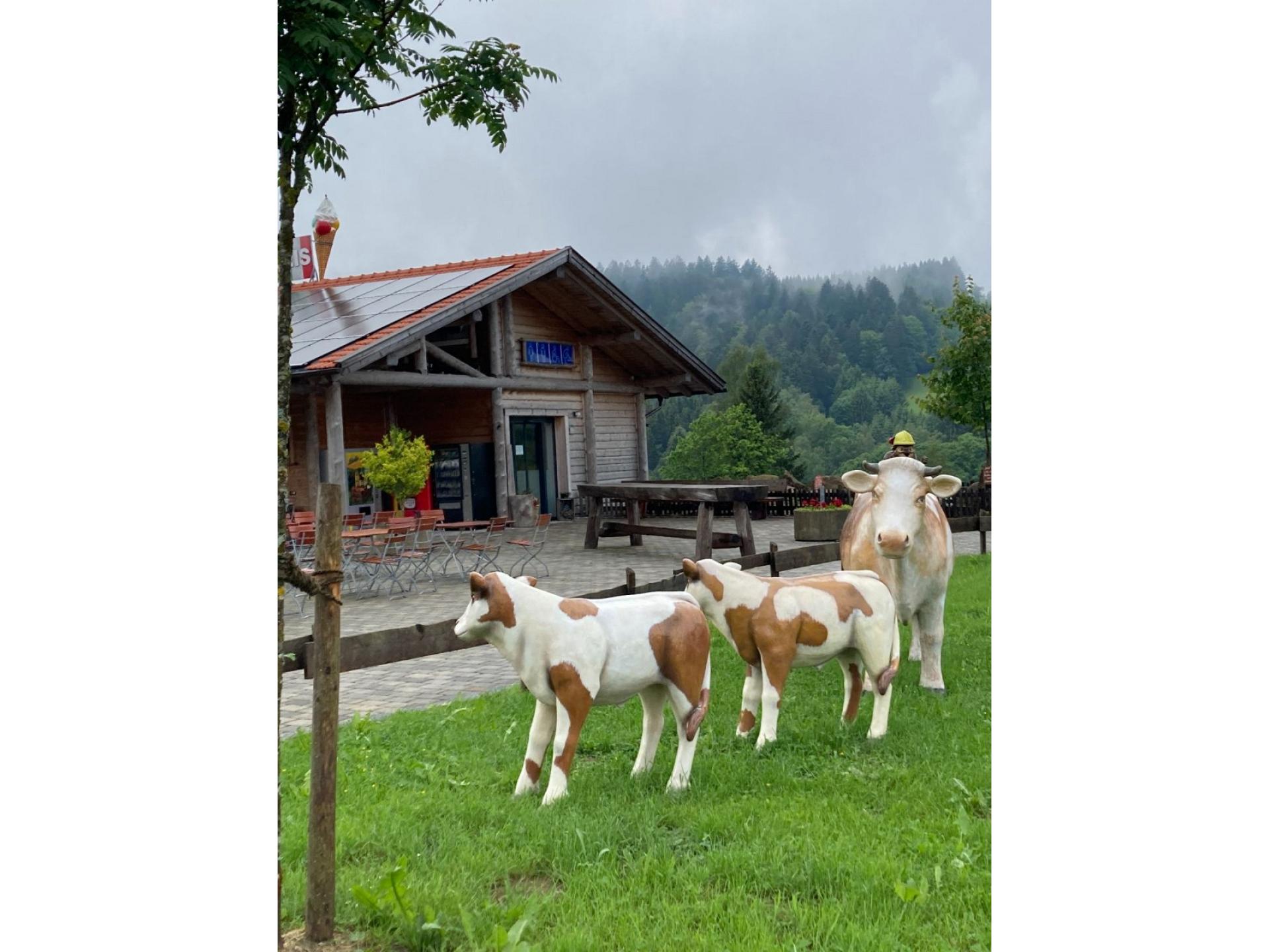 Umgebung- Sommerrodelbahn