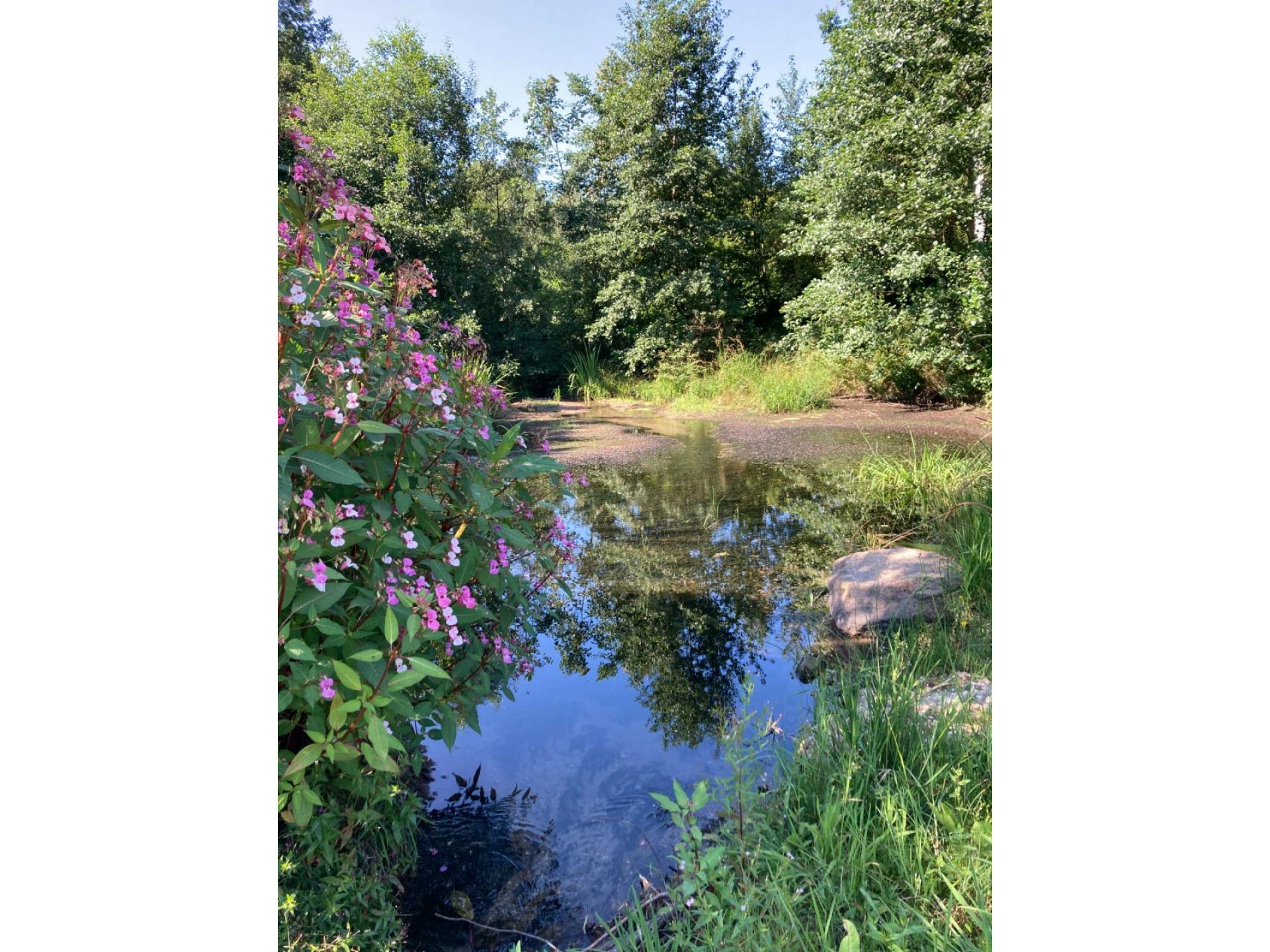 Kurpark St.Englmar