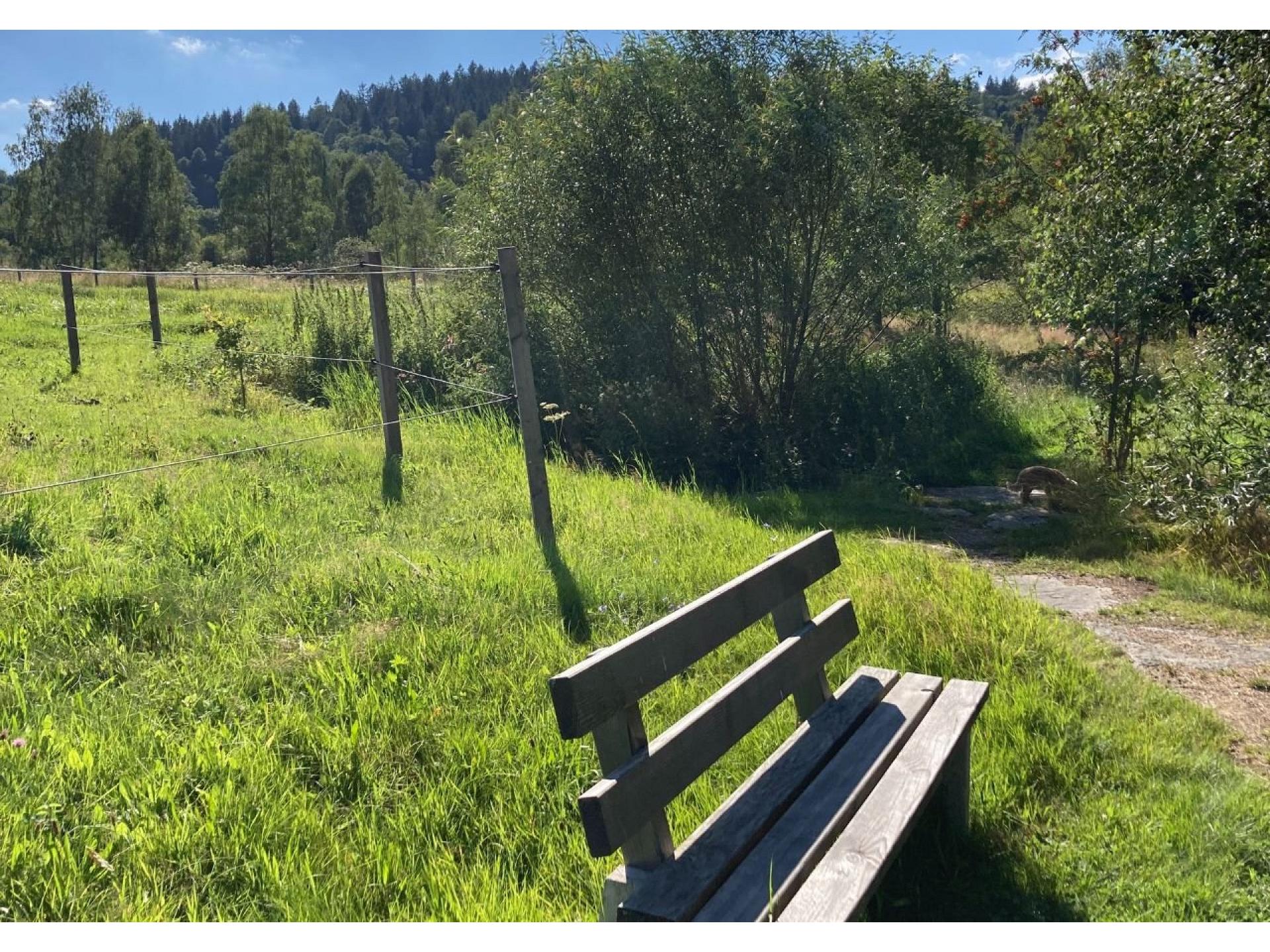 Wandern Kurpark
